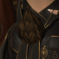 tail