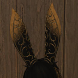 ear jewelry
