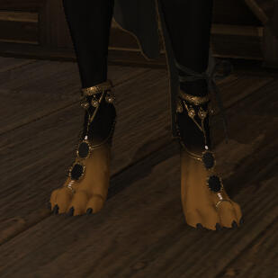 paws