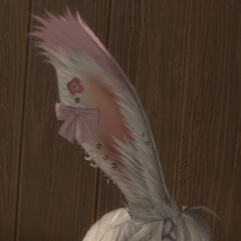 right ear jewelry