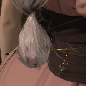 tail